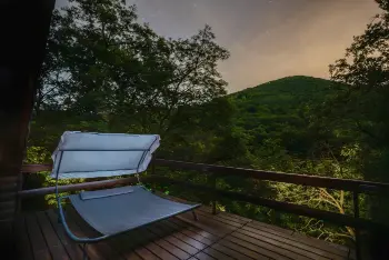Erdei panoráma
