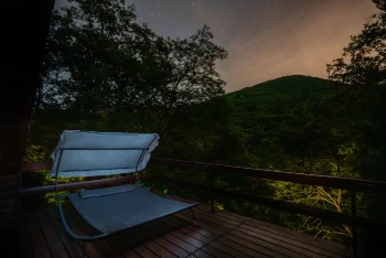 Terasz erdei panoráma